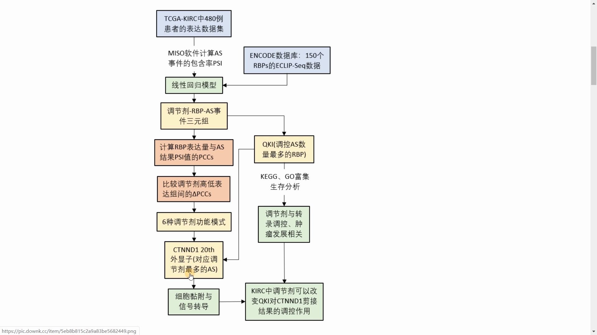 这篇3分文章教你做可变剪接的新思路哔哩哔哩bilibili