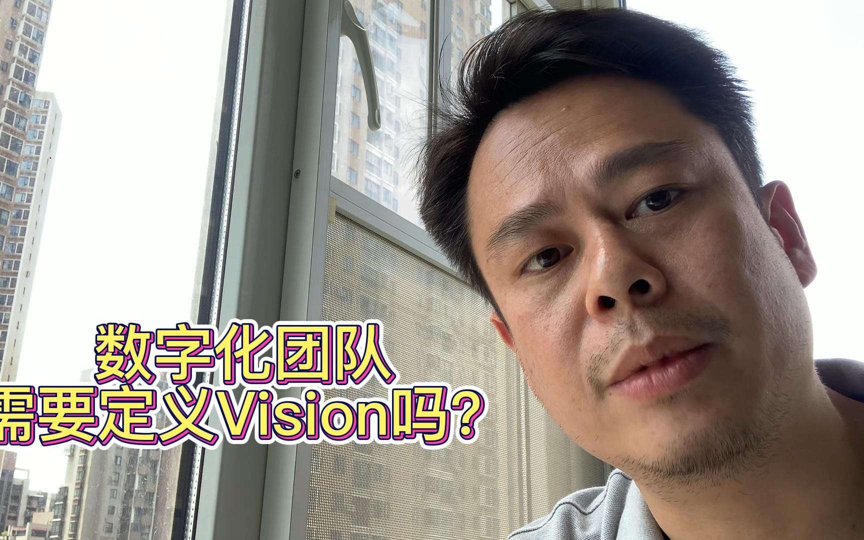 【老袁讲敏捷】数字化团队需要Vision愿景吗?哔哩哔哩bilibili