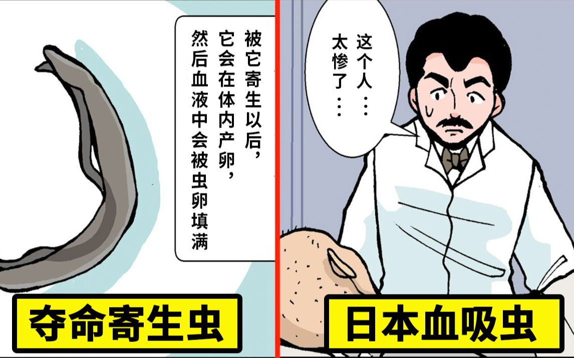 [图]把最糟糕的杀人寄生虫...日本血吸虫画成了漫画