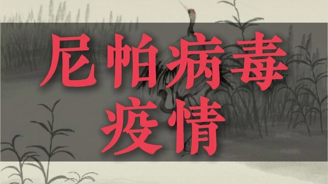  2021年疫情叫什么病毒了(2021年的疫情叫什么)