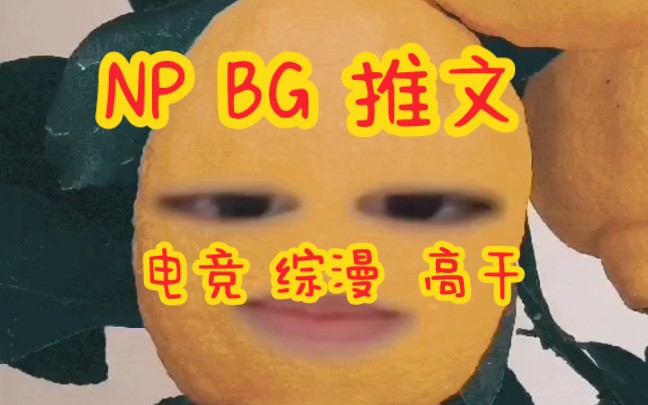 【np】【bg】不看后悔一辈子哔哩哔哩bilibili