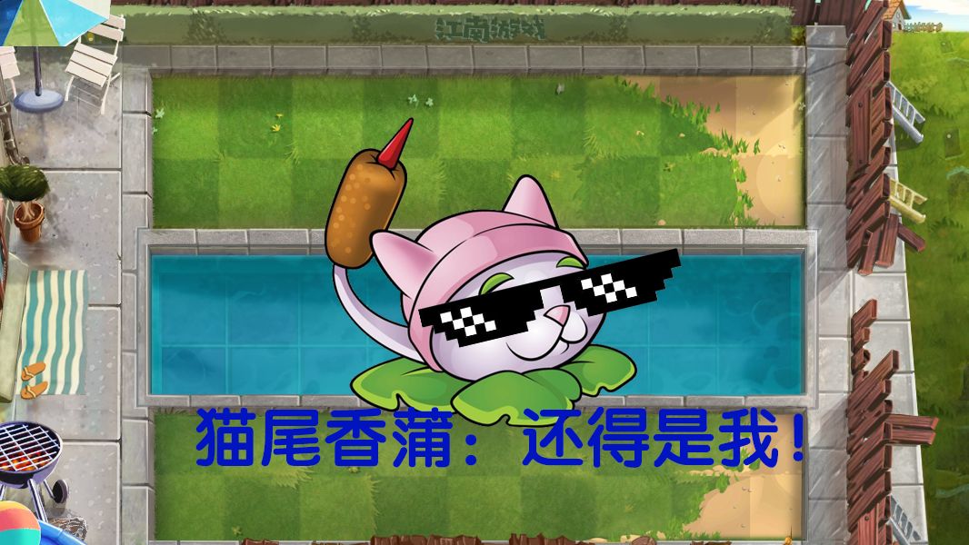 香蒲 pvz图片