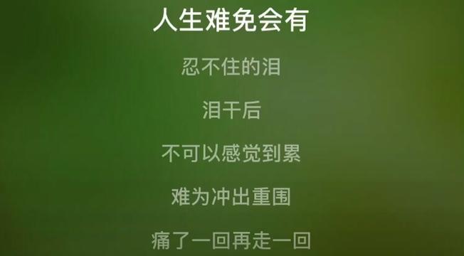 男儿志 天王 刘德华