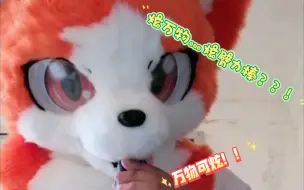 Download Video: 【furry】炫万物的小炎