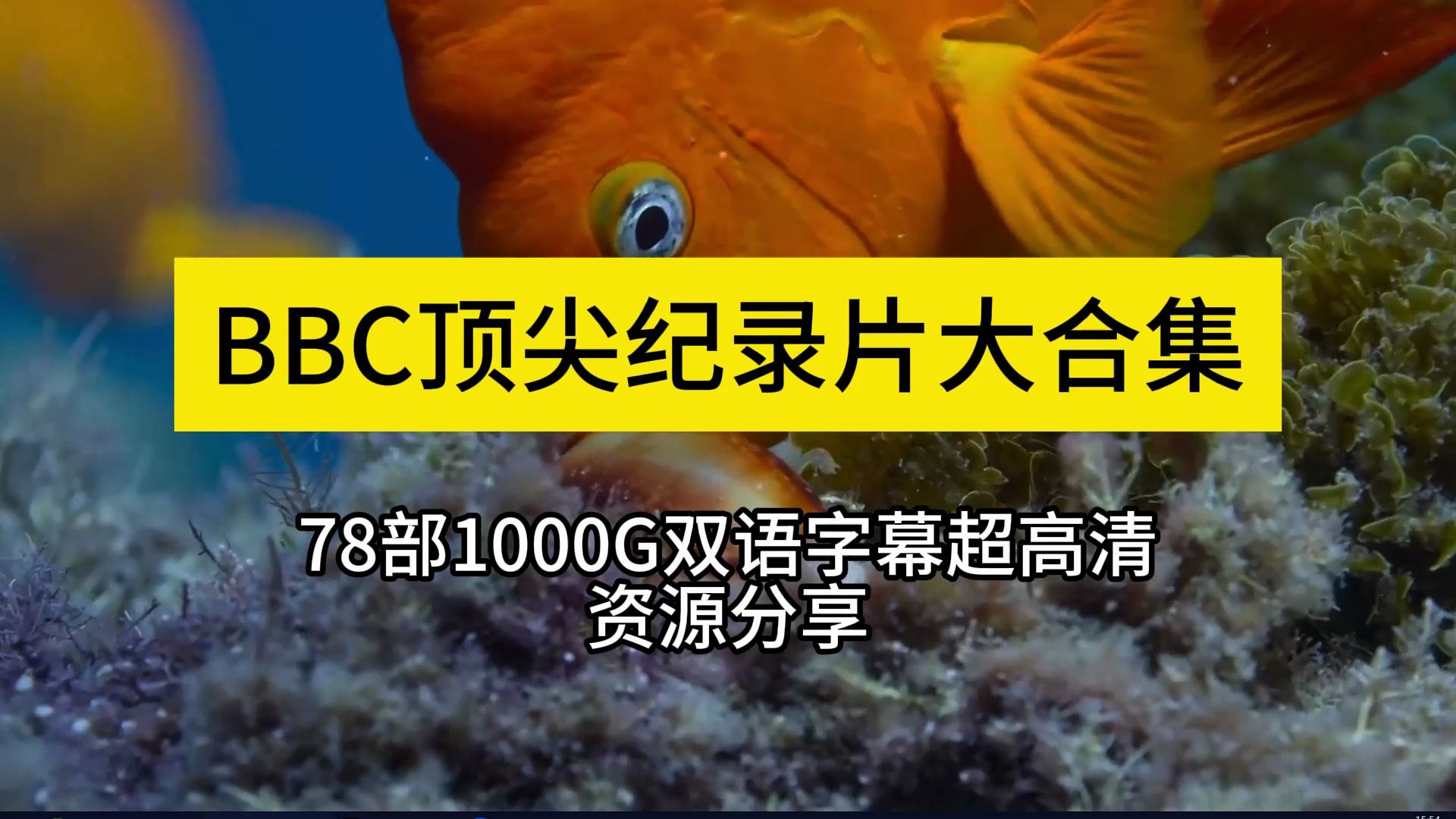 [图]【BBC纪录片大合集资源分享】看BBC纪录片，胜过环游世界