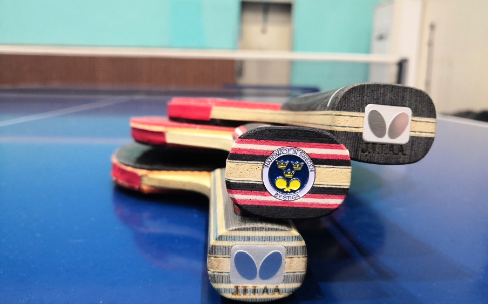 维斯卡利亚viscaria底板封神之路上篇概述