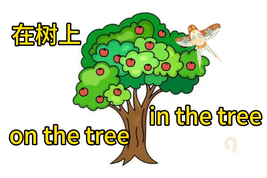 英语中的在树上,到底是用"in"还是用"on",挑战30秒学会