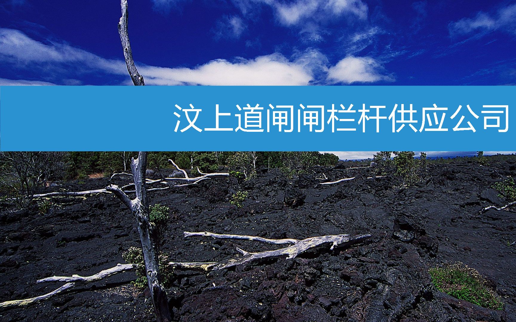 汶上道闸闸栏杆供应公司 (2023年2月21日8时26分38秒已更新)哔哩哔哩bilibili