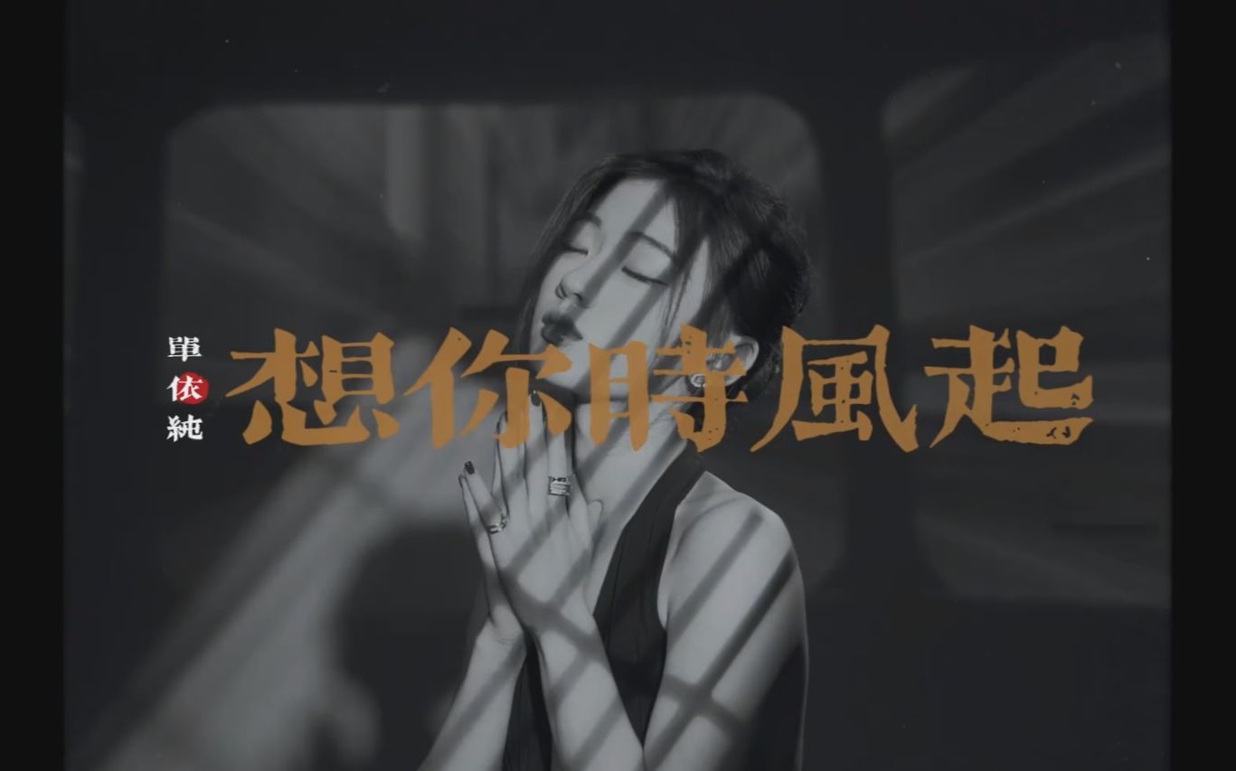 [图]【Hi-res音质】单依纯 想你/时/风起 MV（自制）