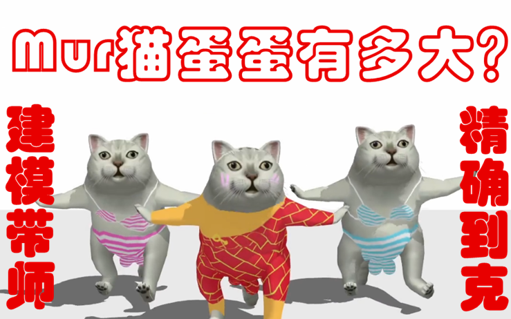 mur猫蛋蛋到底有多大建模带师精确到克奇怪的知识增加了第1期
