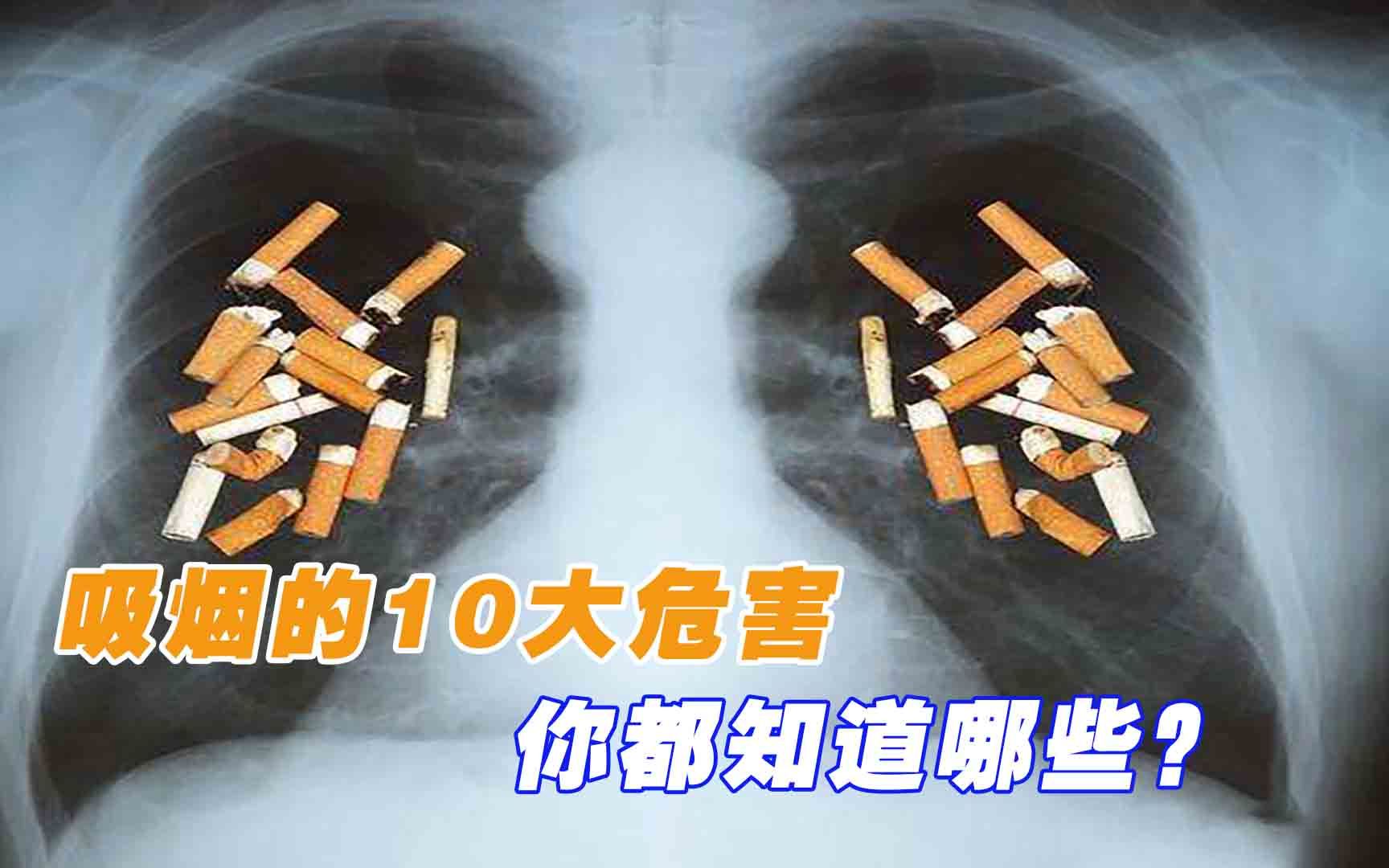 吸烟的10大危害,你都知道哪些?看完这个视频还不赶紧戒烟哔哩哔哩bilibili