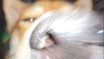 拍完才发现鼻孔里藏小零食了