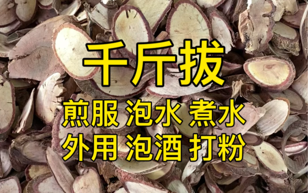 每天认识一种中药材·千斤拔