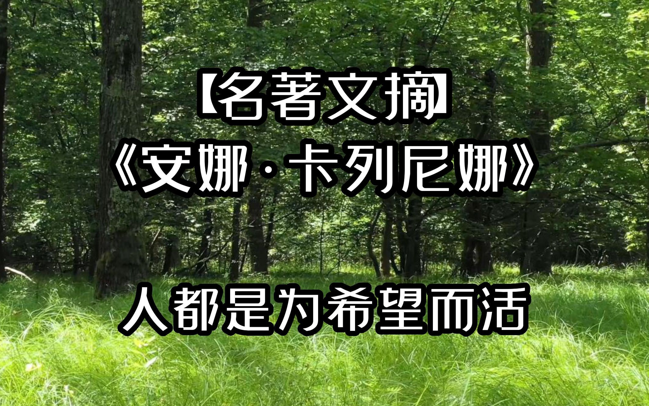 【名著文摘】《安娜ⷥ᥈—尼娜》:人都是为希望而活.哔哩哔哩bilibili