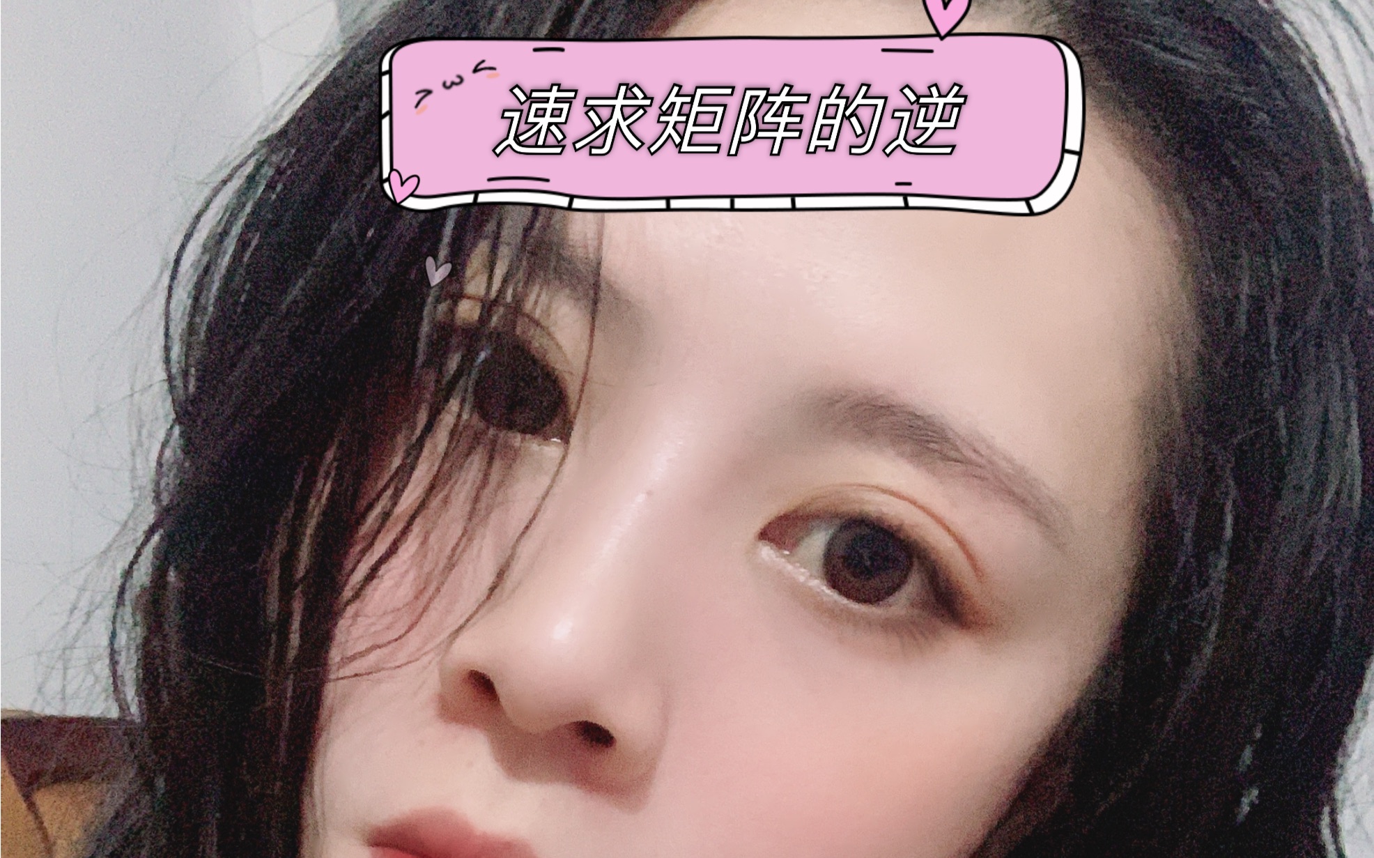 快速求矩阵的逆矩阵哔哩哔哩bilibili