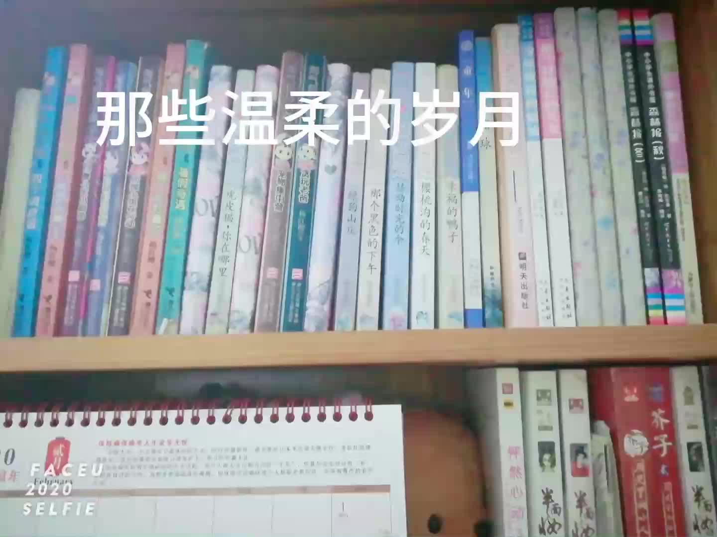 杨红樱姐姐哔哩哔哩bilibili