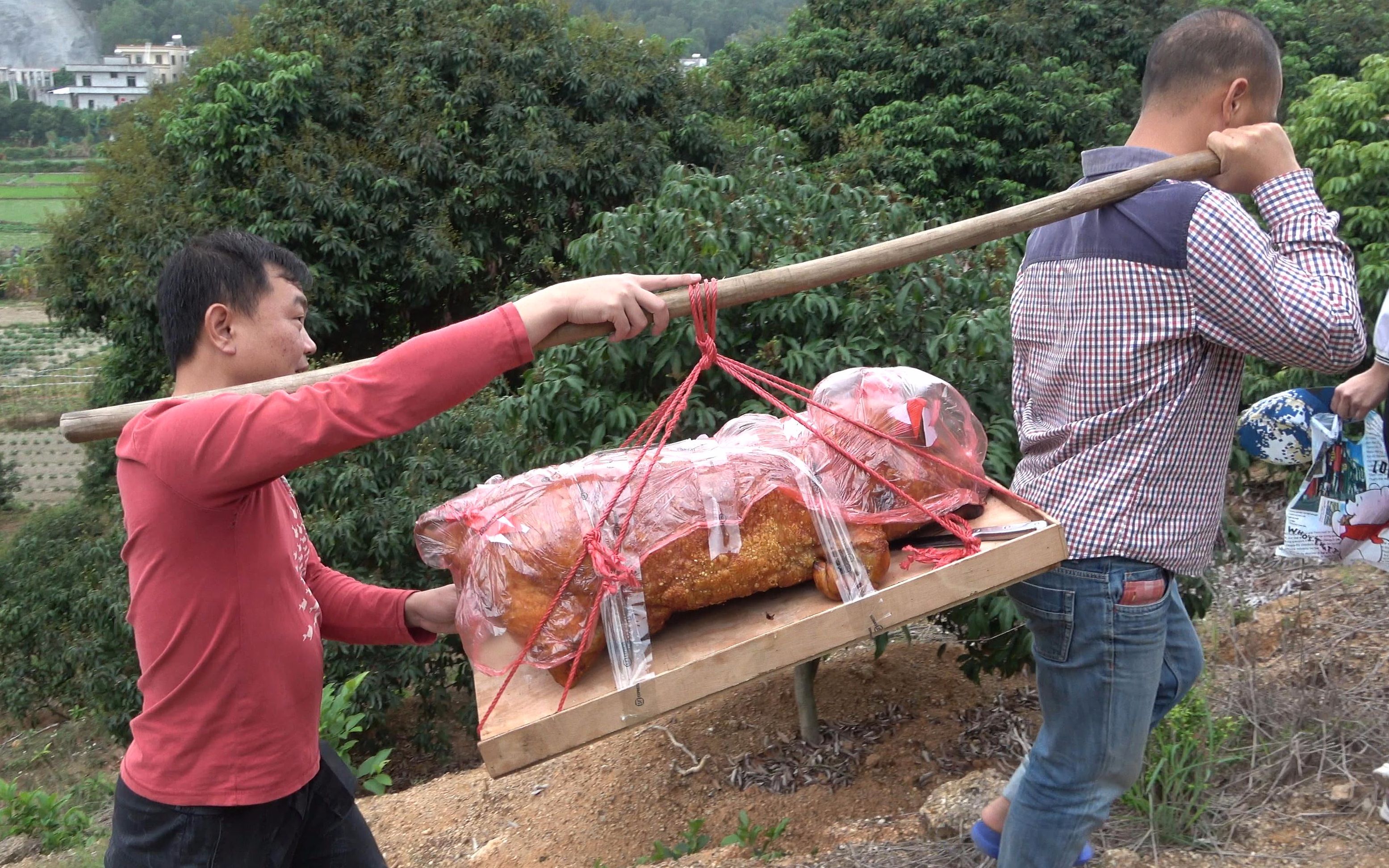 清明节扫墓老林烧一头金猪去拜祭祖先场面热闹