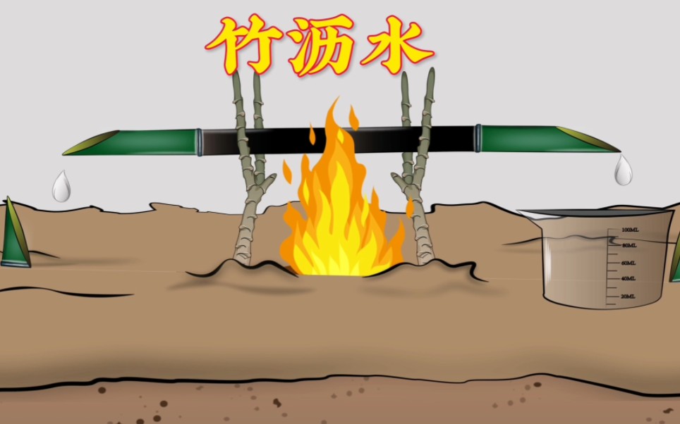 你知道竹沥水怎么获取吗?