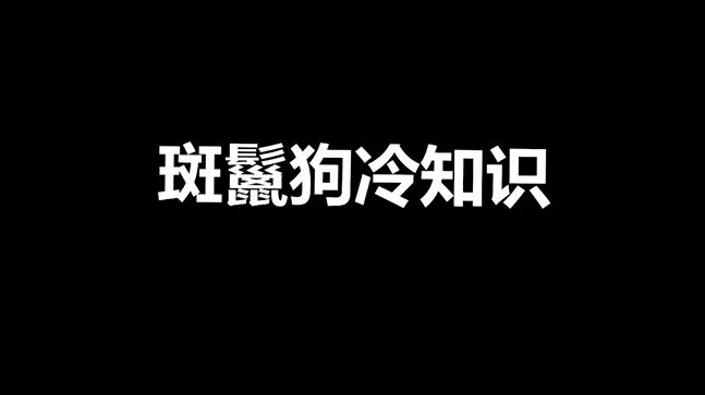 宠物冷知识:斑鬣狗真的又凶又狡猾?你误会它了!哔哩哔哩bilibili