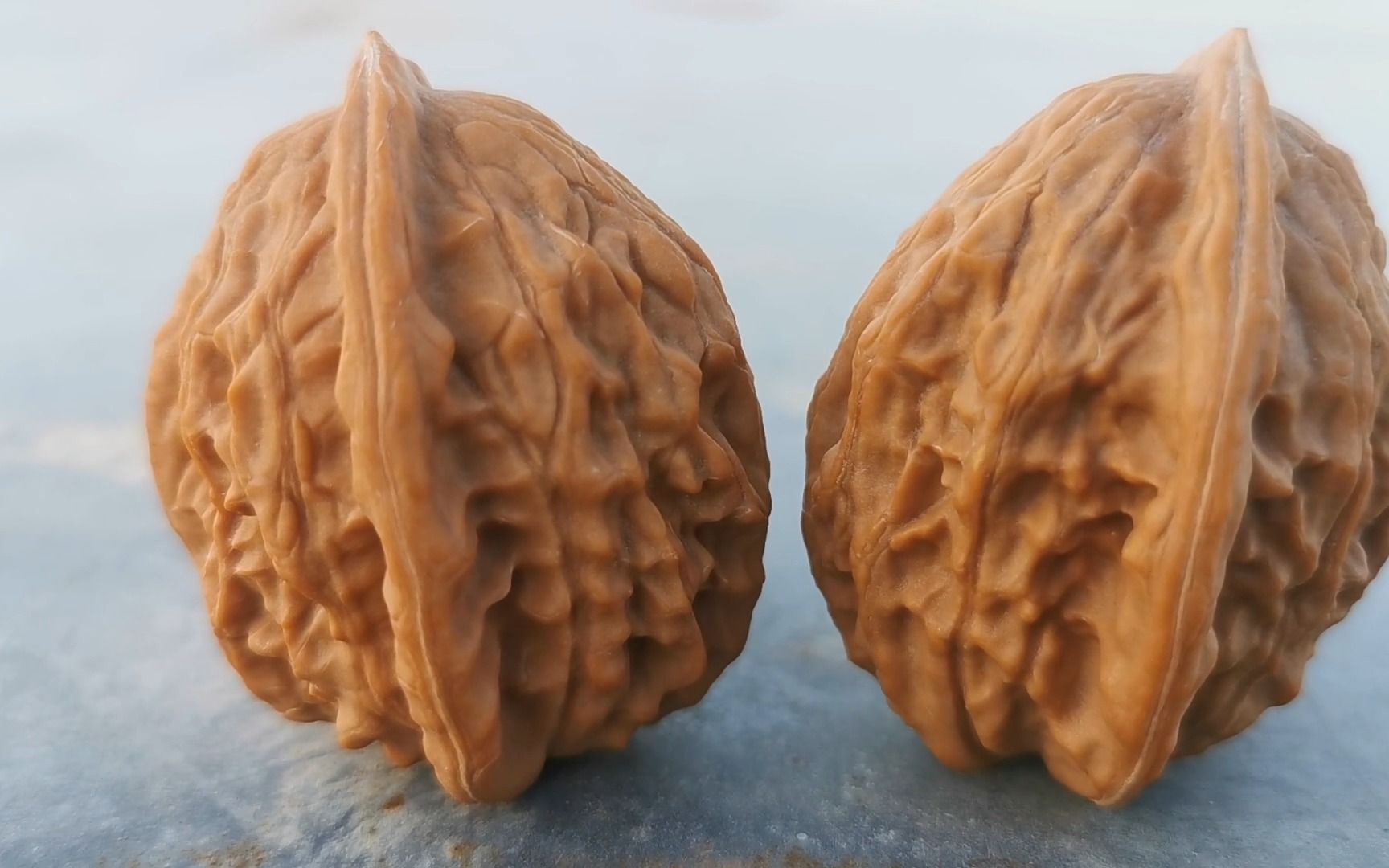 麻核桃小众大红袍宽边高桩,小气门蜡红皮质上手易红,也叫观音帽