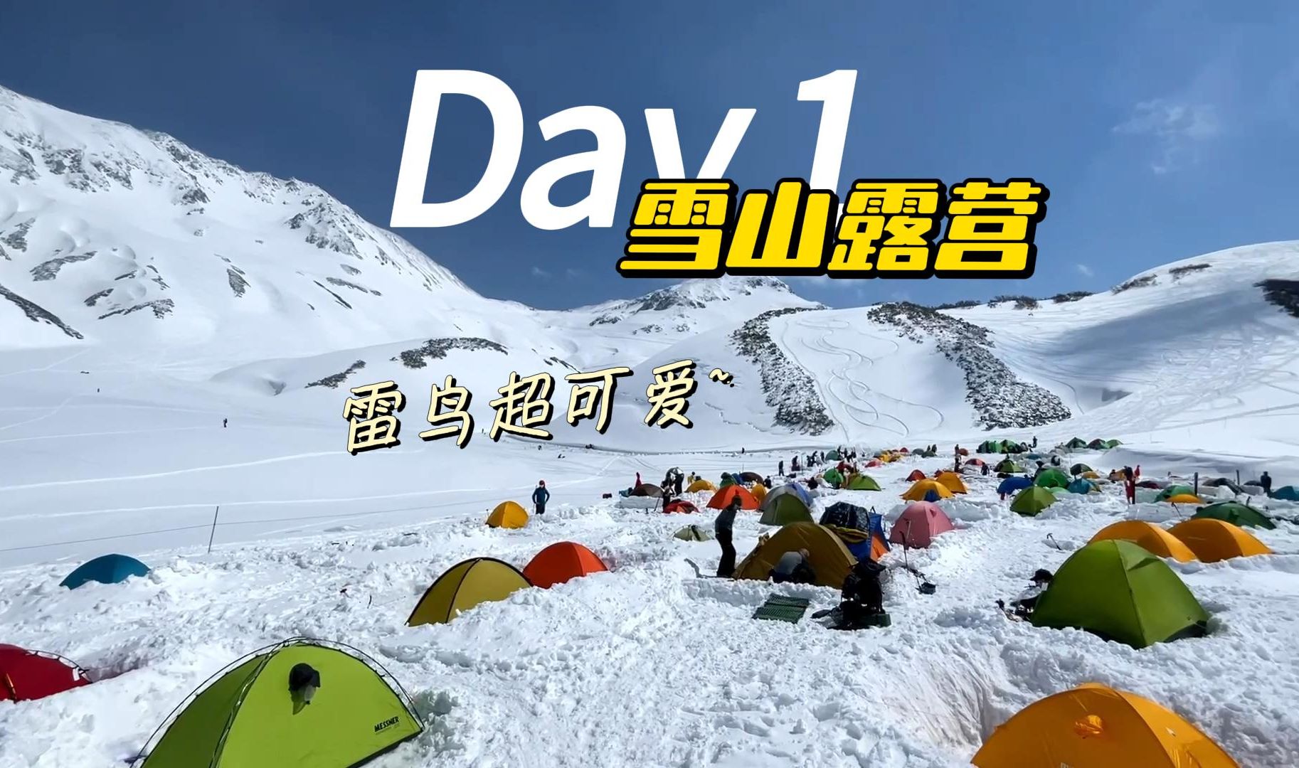 雪山露营 | 富山县立山 | 360度雪景营地,雷鸟超可爱哔哩哔哩bilibili