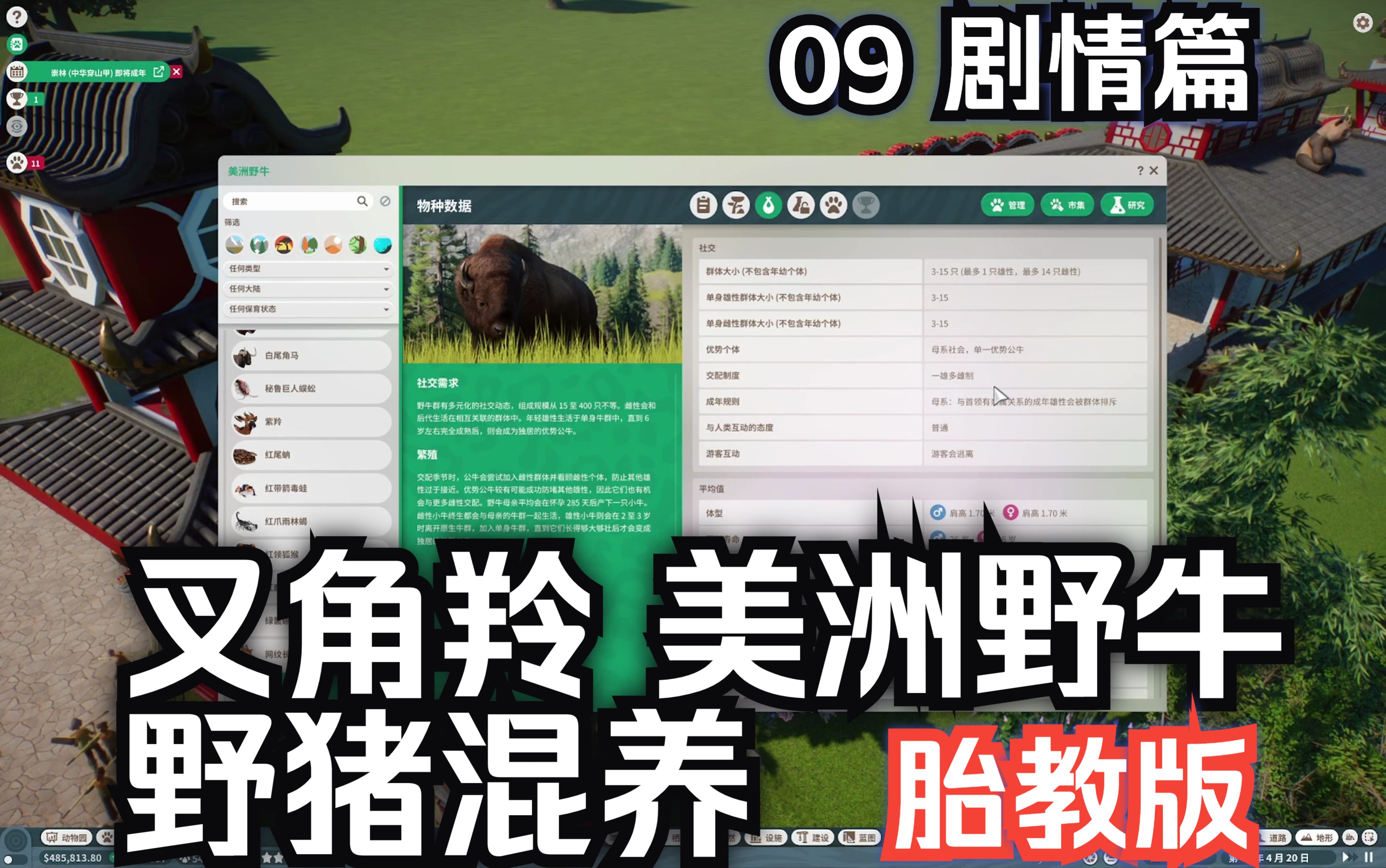 【动物园之星】09挑战所有动物叉角羚 美洲野牛 野猪混养