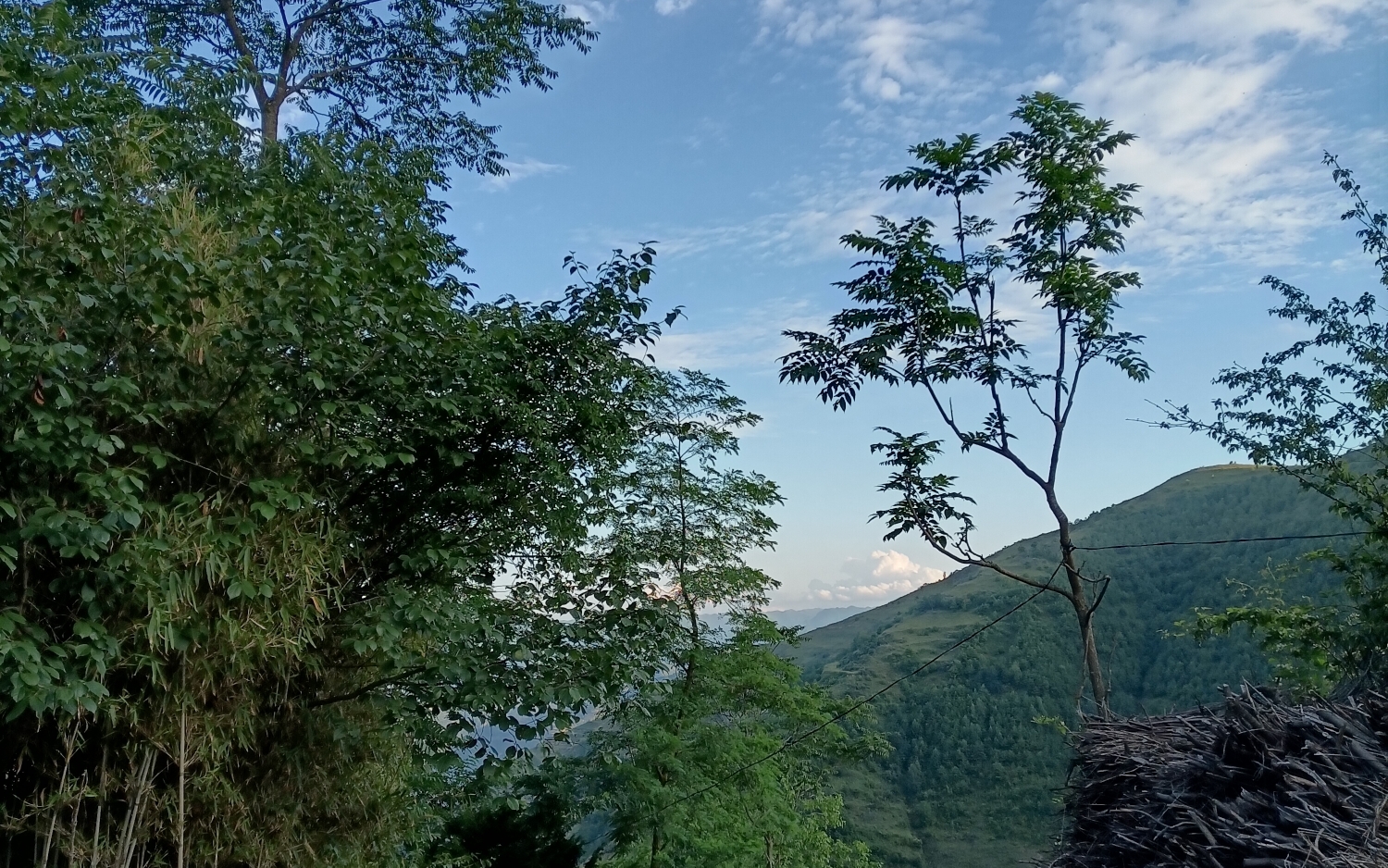 夏日乡村傍晚风景