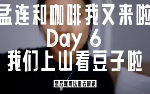 Descargar video: 孟连vlog | Day 6 咖啡初选全过程看这里！