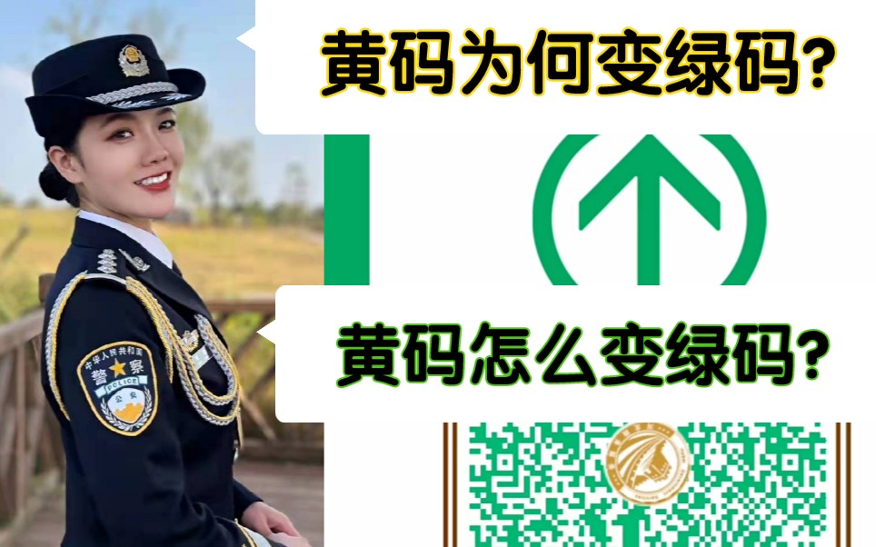 绿码为何变黄码?黄码怎么变回绿码?哔哩哔哩bilibili