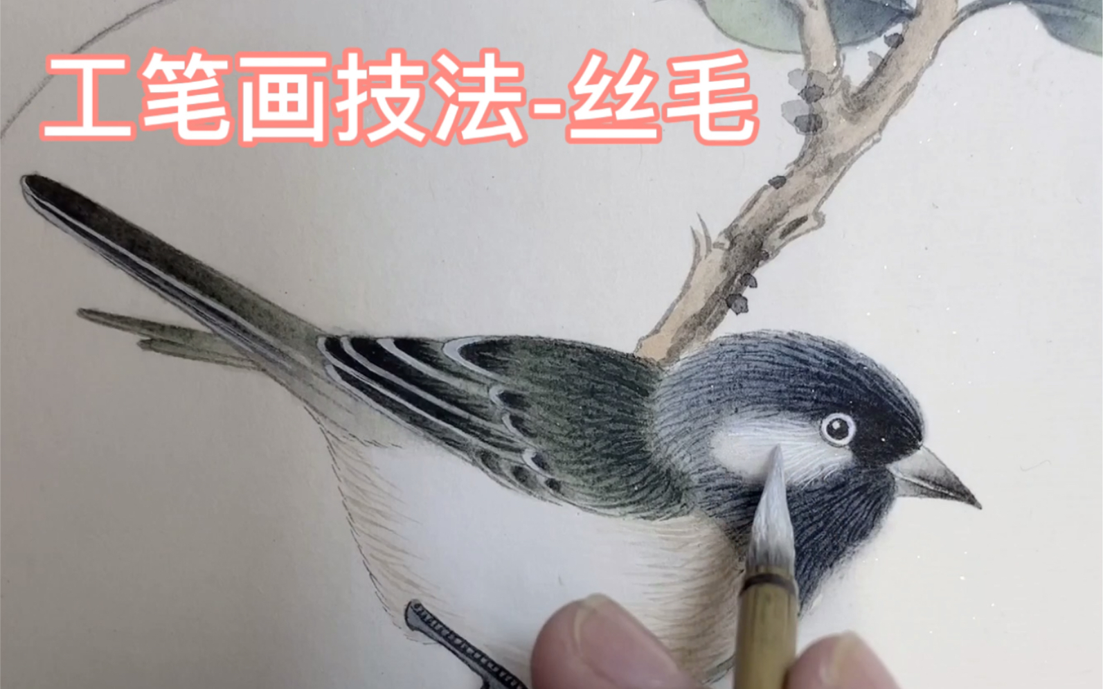 工笔画技法丝毛拿起你的勾线笔快来给你画的小可爱织个毛衣吧