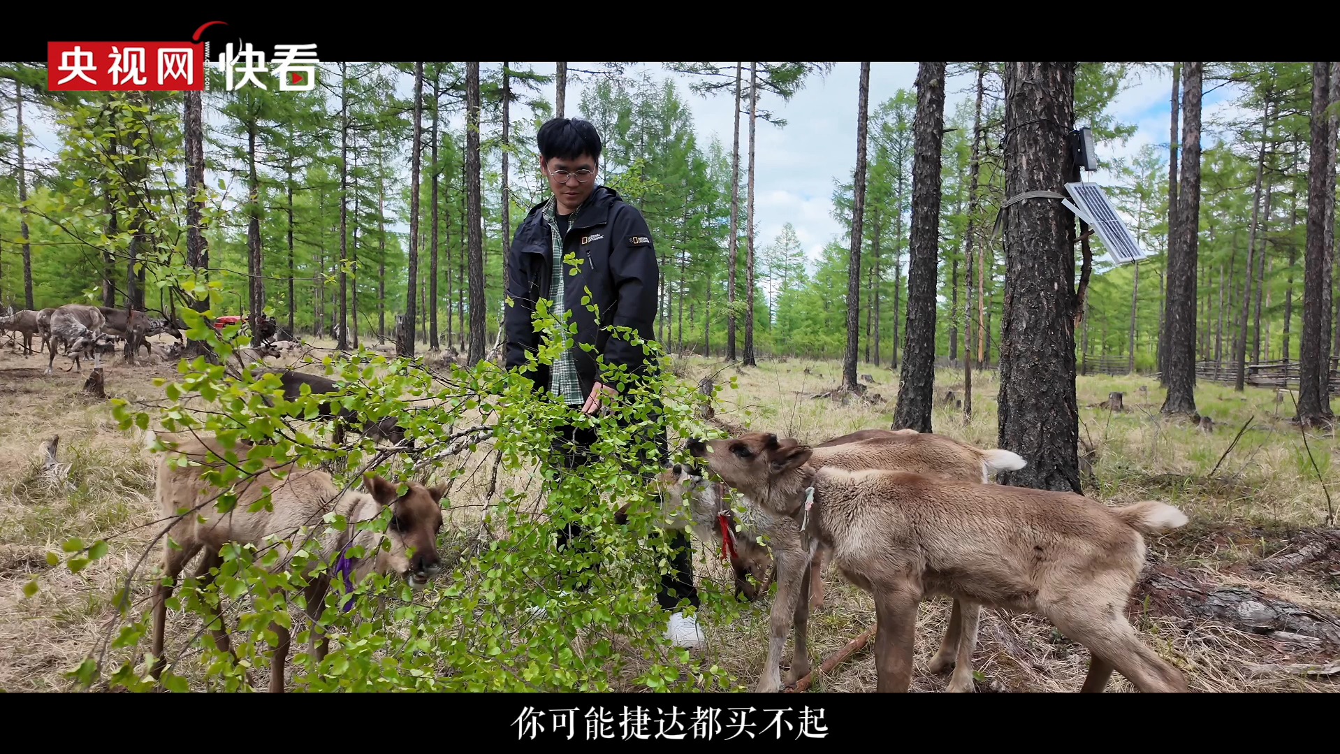 “大兴安岭的孩子”雨果哔哩哔哩bilibili