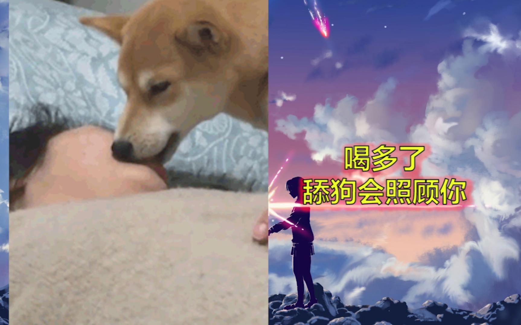 沙雕集锦22七夕喝多了舔狗会照顾你