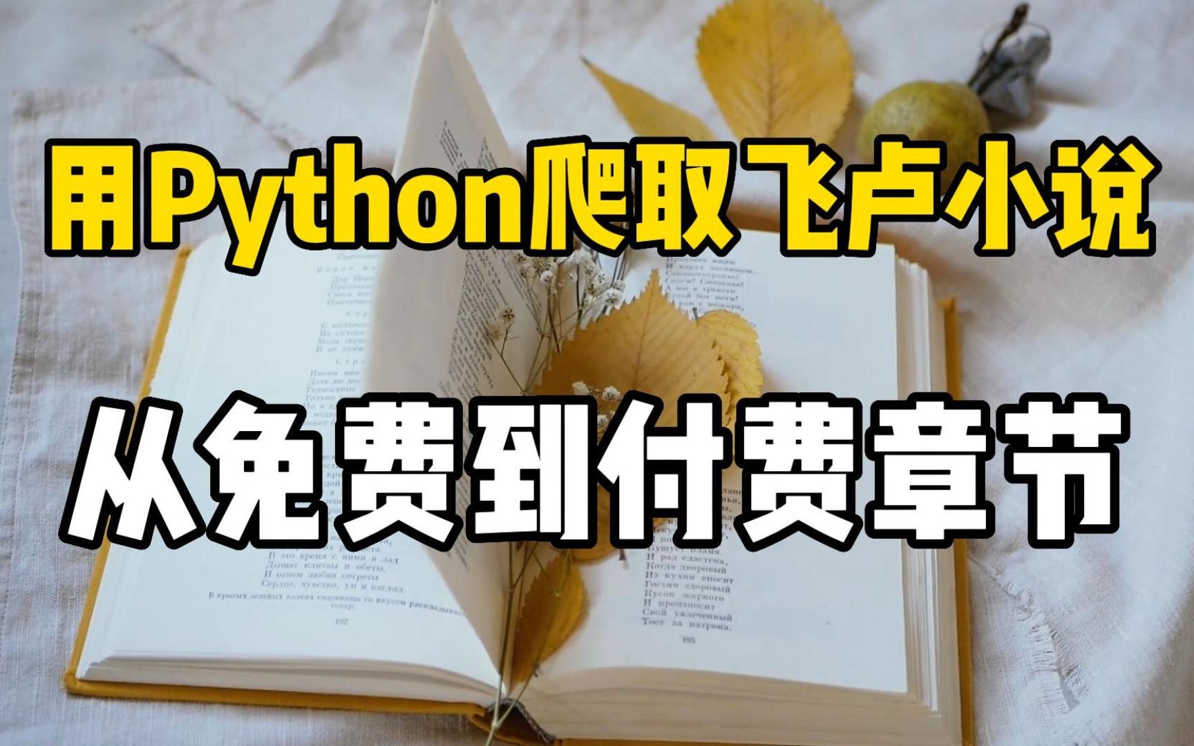 【python爬虫项目】用Python爬取小说网站内容并保存为TXT文件,超简单!哔哩哔哩bilibili