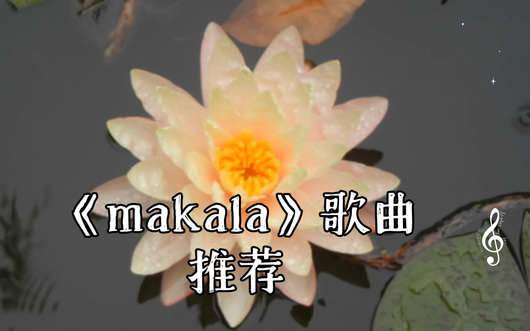 《makala》歌曲推荐哔哩哔哩bilibili