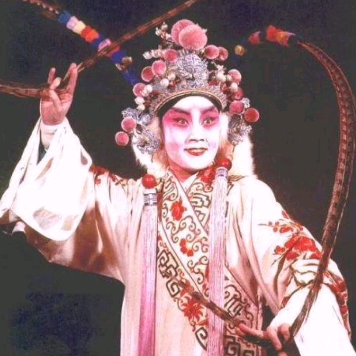 com豫剧《刘墉会督》打一杆大旗飘在空(赵辉)ximalaya.