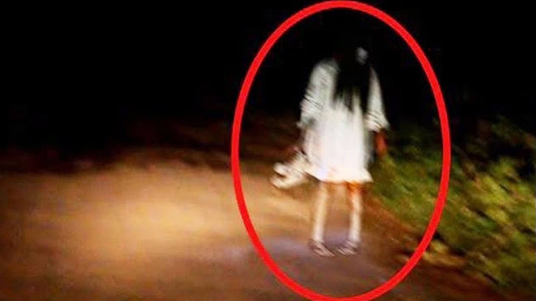 谁在深夜公路蹲守?真实拍下的邪教,幽灵,怪生物,看完头皮发麻