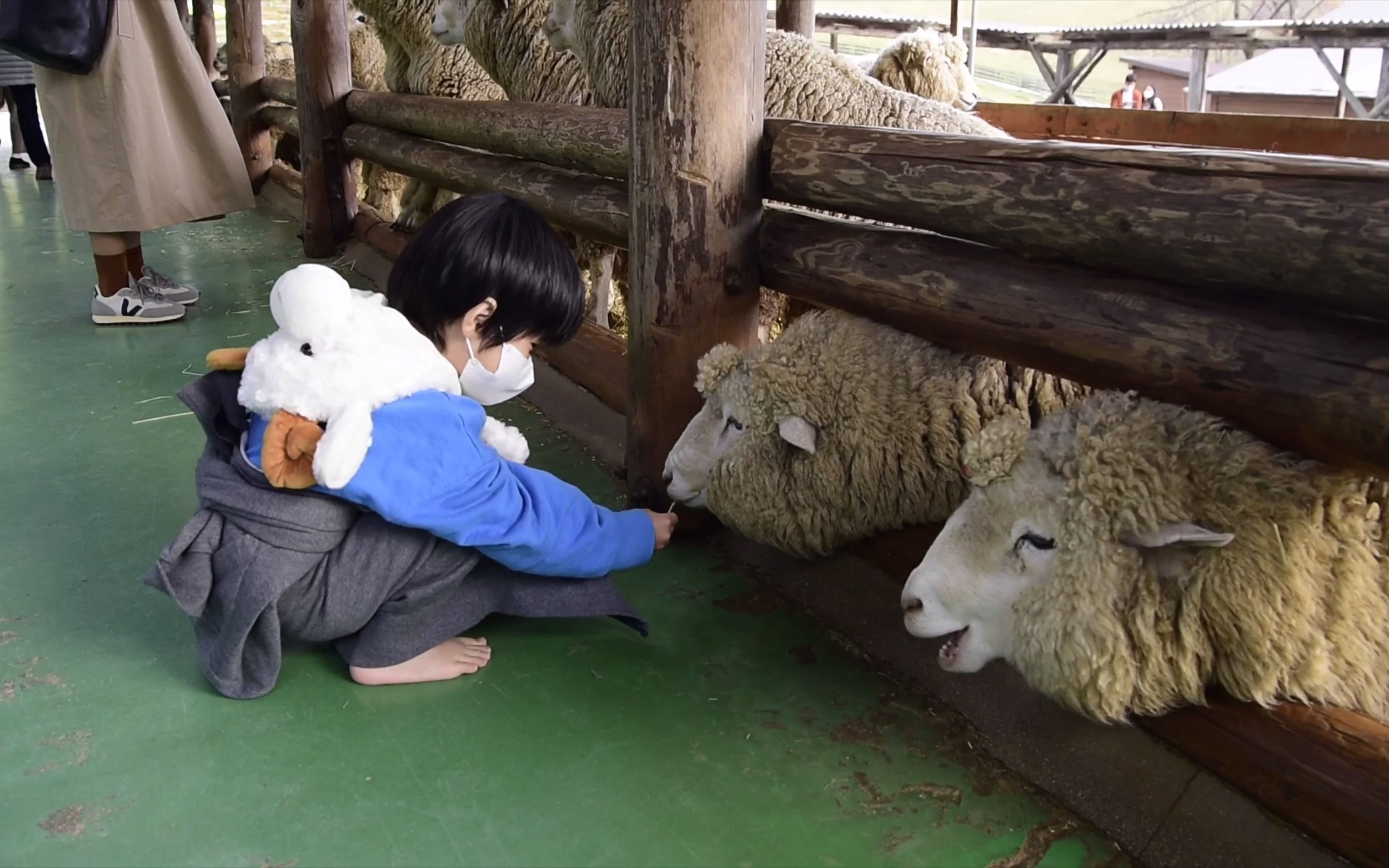 2020-韩国东海森林农场之旅