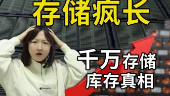 存储内存价格疯涨？我们千万存储库存的真相！