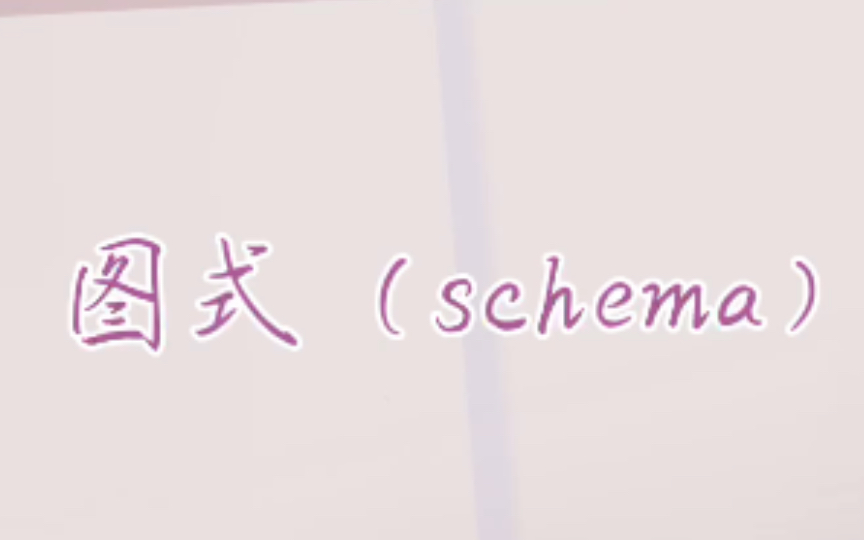 什么是图式(schema)?哔哩哔哩bilibili