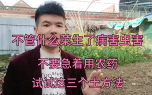 Download Video: 不管什么菜生了虫害病害，这三个土方法用对了，效果是真的好