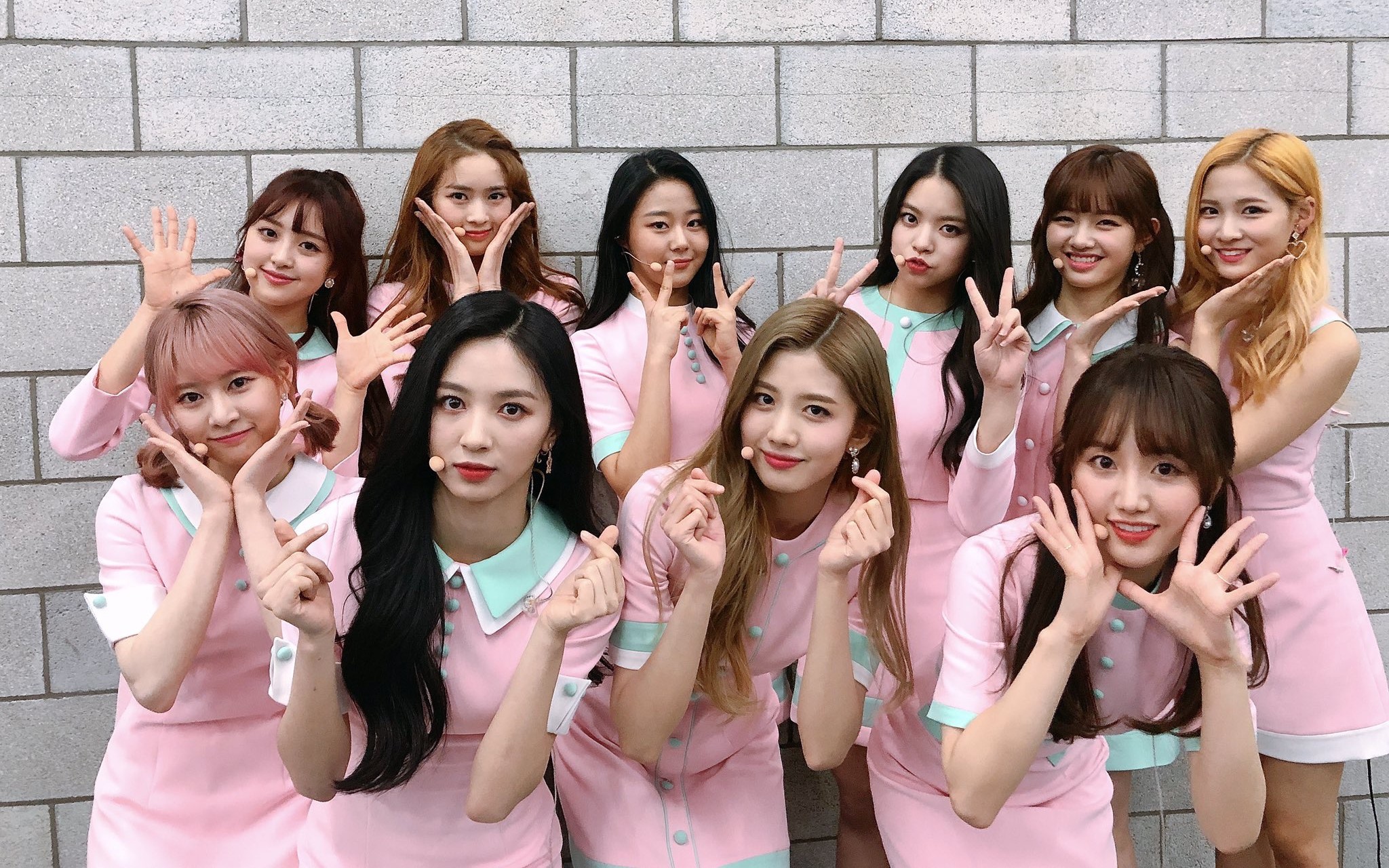 【cherry bullet】q&a (special stage)