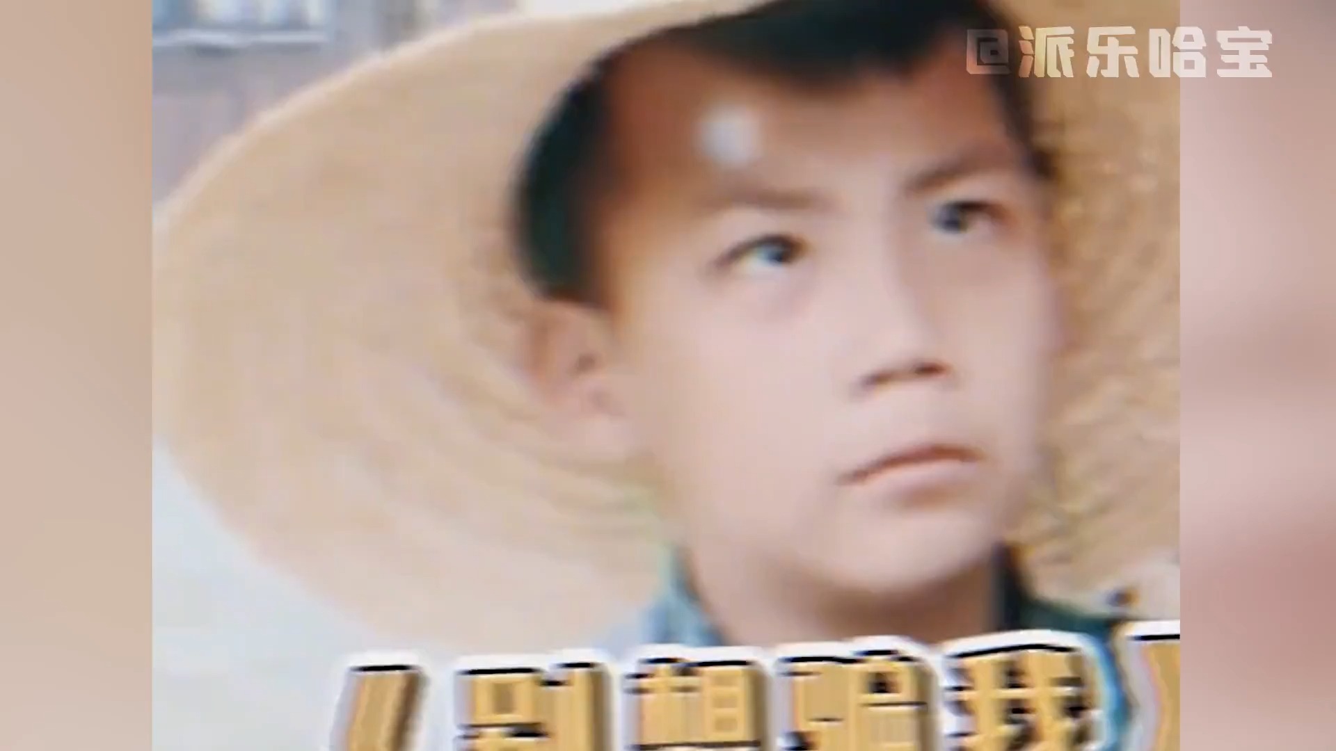 爸爸去哪儿爆笑名场面,胡皓康知识储备丰富,林大竣从小就是梗王