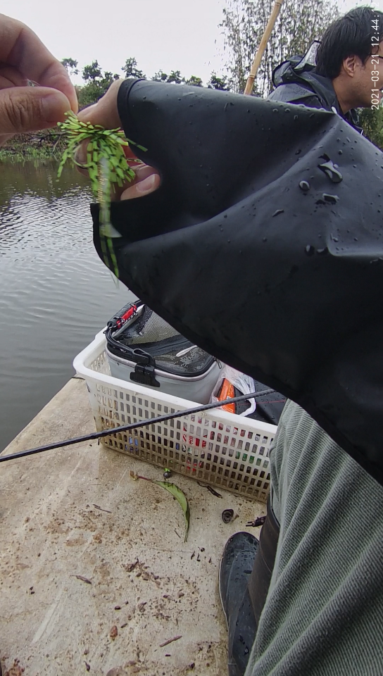 黑坑鲈鱼jig钓组中鱼全过程