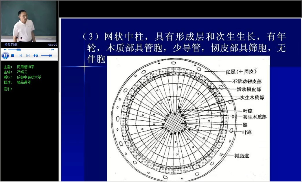 31、第十章 祼子植物1哔哩哔哩bilibili