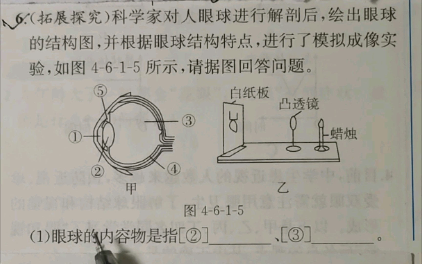 眼球成像 模拟成像实验 内容物 晶状体哔哩哔哩bilibili