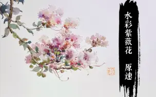 Download Video: 【古风水彩】紫薇花 原速版