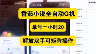 番茄小说自动G机，单号一小时20，解放双手无需操作，可矩阵