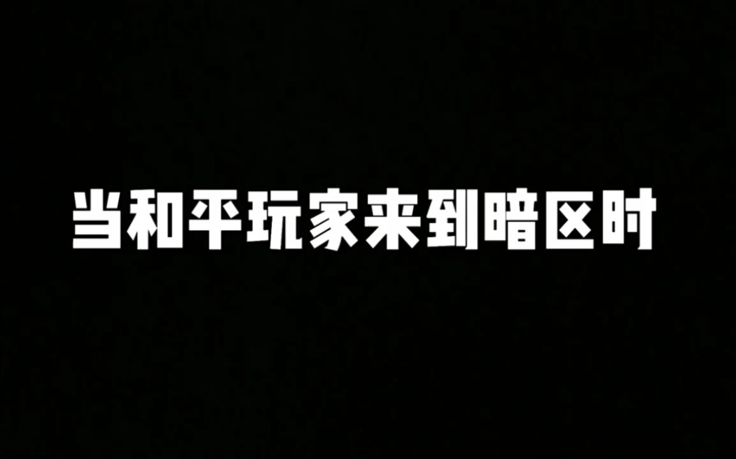 当和平玩家来到暗区时网络游戏热门视频