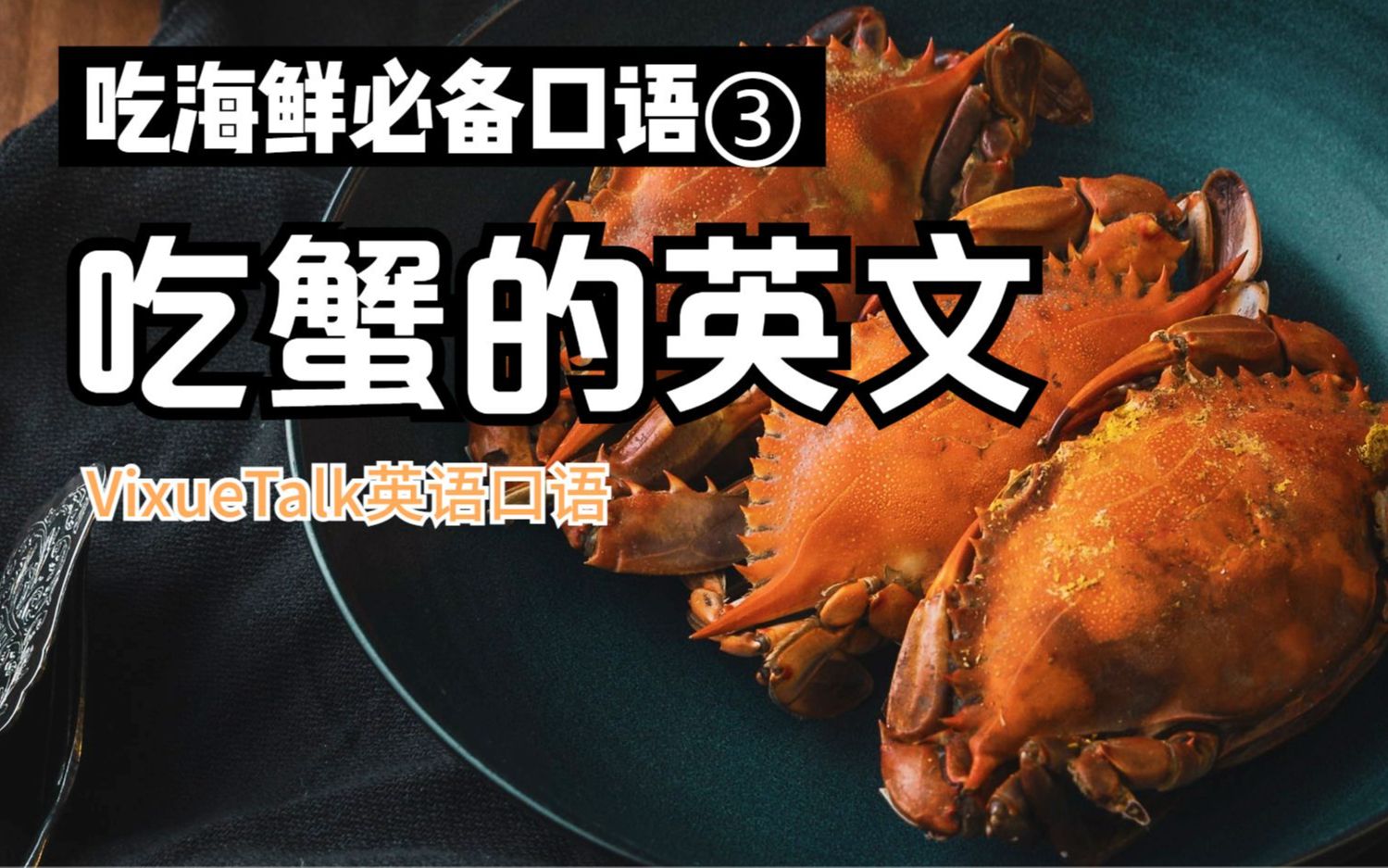 【VixueTalk】crab是螃蟹,但crab cake可不是蟹肉蛋糕,英语是什么意思?哔哩哔哩bilibili