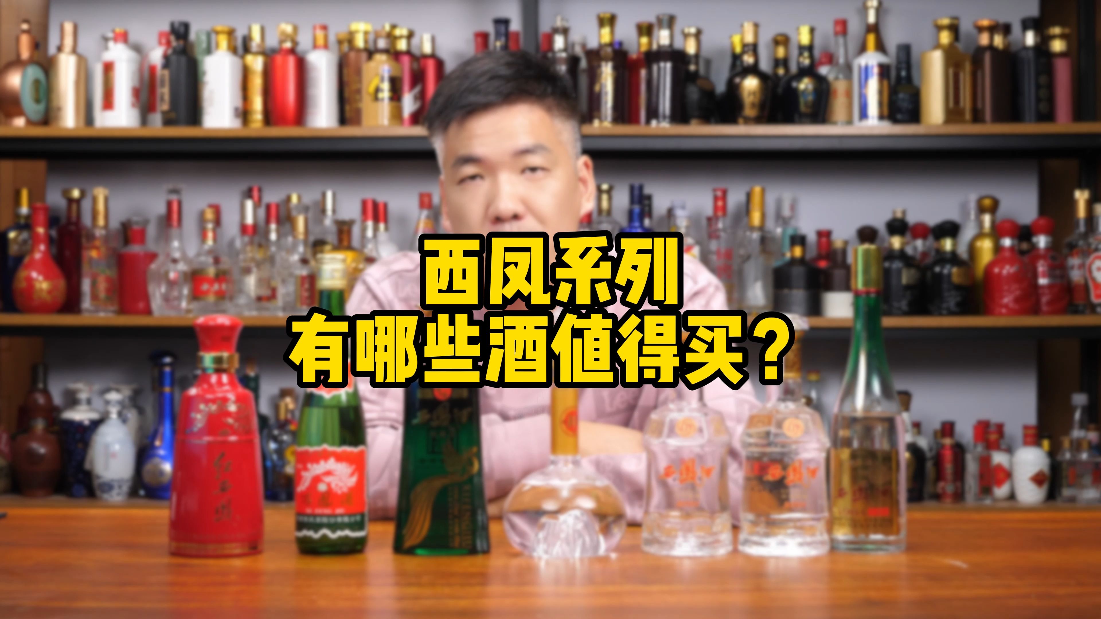 西凤酒系列有哪些值得买的?哔哩哔哩bilibili